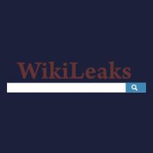 wikileaks-search