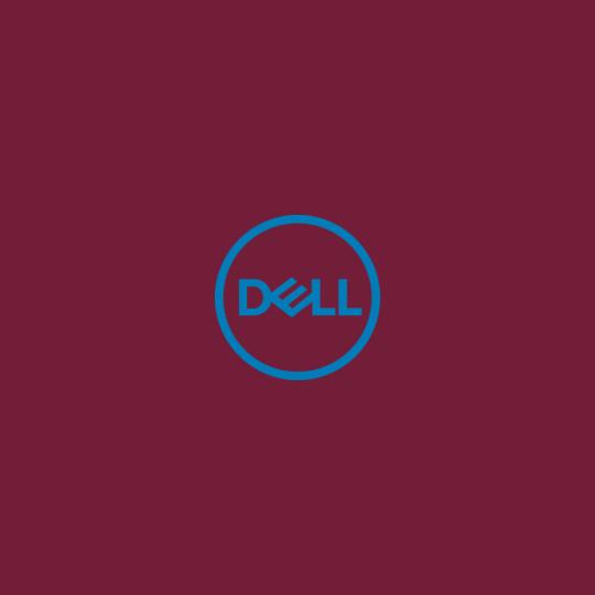 Dell-Team